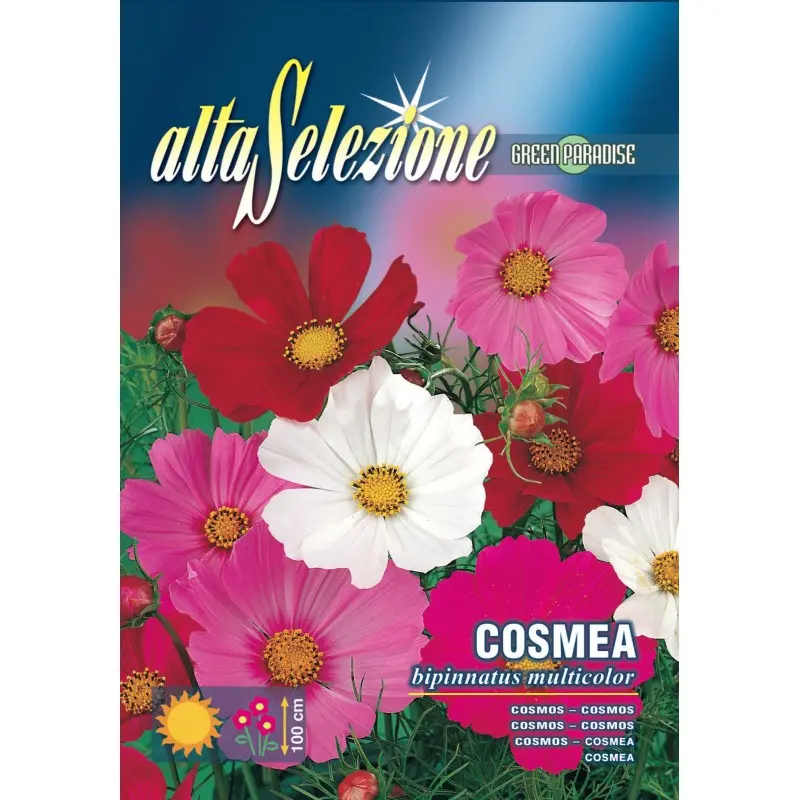 Seminte cosmos Multicolor