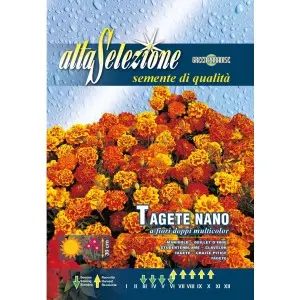 Seminte craite pitice flori duble multicolor