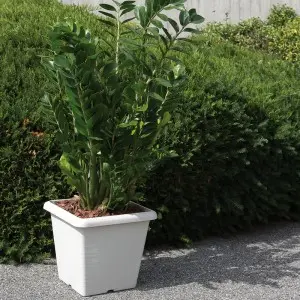 Ghiveci flori patrat Terrae