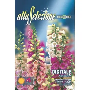 Seminte degetel Multicolor