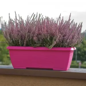 Jardiniera Terrae Mini cu farfurie atasata