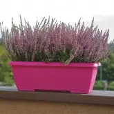 Jardiniera Terrae Mini cu farfurie atasata