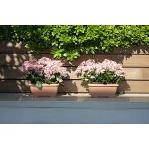 Jardiniera Terrae Mini cu farfurie atasata