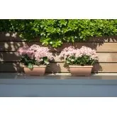 Jardiniera Terrae Mini cu farfurie atasata
