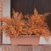 Jardiniera Terrae Mini cu farfurie atasata