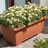 Jardiniera Terrae Maxi