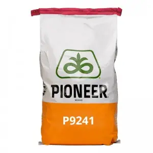 Samanta porumb Pioneer P9241