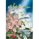 Seminte floarea miresei Eleganta Multicolor