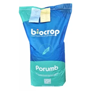 Samanta porumb Biocrop Norico