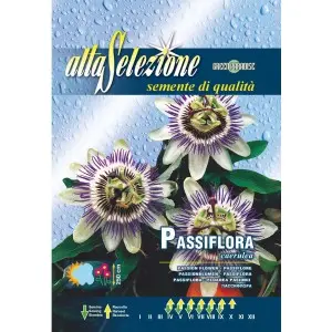Seminte floarea pasiunii Carulea
