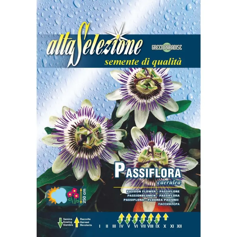 Seminte floarea pasiunii Carulea