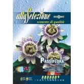 Seminte floarea pasiunii Carulea