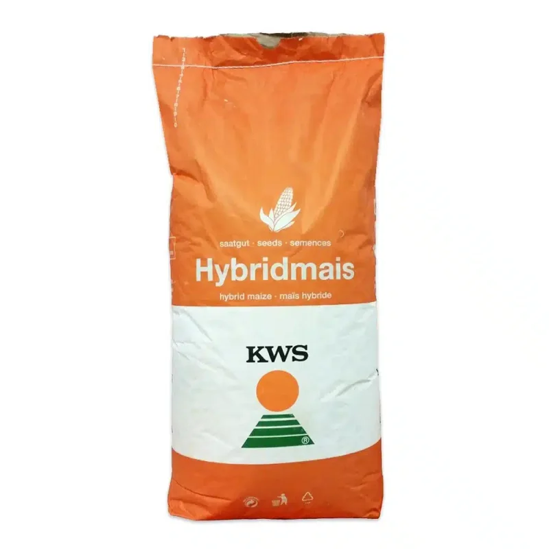 Samanta porumb KWS Kashmir