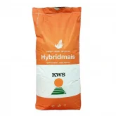 Samanta porumb KWS Kashmir