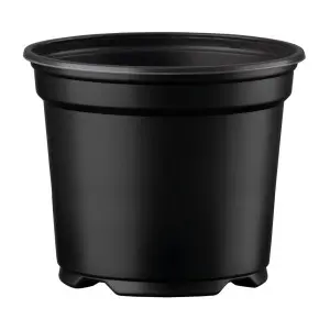 Ghiveci de productie Desch