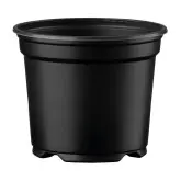 Ghiveci de productie Desch