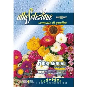 Seminte flori anuale cu tulpina lunga