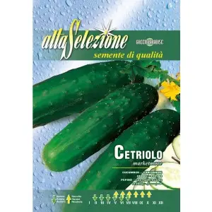 Seminte castraveti Marketmore Alta Selezione