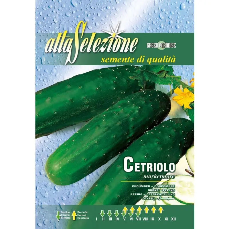 Seminte castraveti Marketmore Alta Selezione