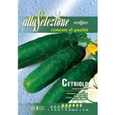 Seminte castraveti Marketmore Alta Selezione