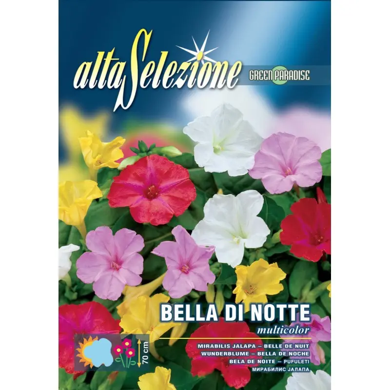 Seminte frumoasa noptii Multicolor