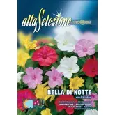 Seminte frumoasa noptii Multicolor