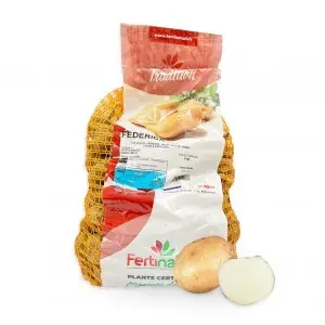Cartofi de samanta albi Federica, sac 1.5 kg