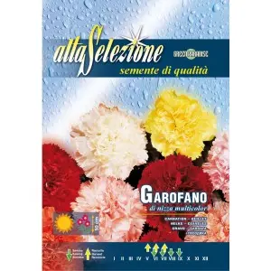 Seminte garoafa de Nisa Multicolor