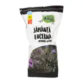 Samanta lucerna Dobrogea