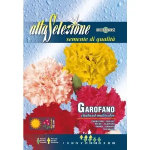 Seminte garoafa Multicolor