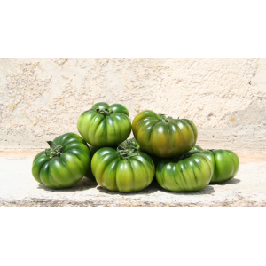 Seminte tomate Maremagno F1