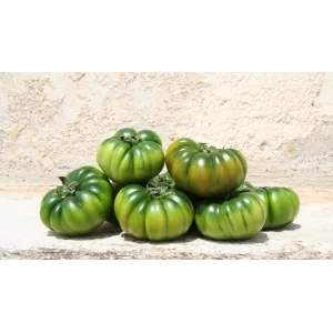 Seminte tomate Maremagno F1