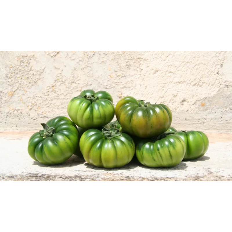 Seminte tomate Maremagno F1