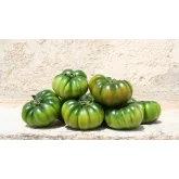 Seminte tomate Maremagno F1