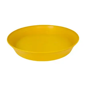 Farfurie rotunda Export