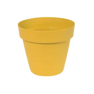 Ghiveci flori My Mood