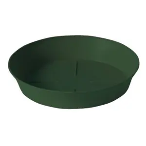 Farfurie rotunda Export