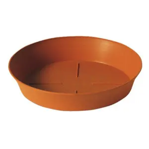 Farfurie rotunda Export