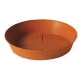 Farfurie rotunda Export