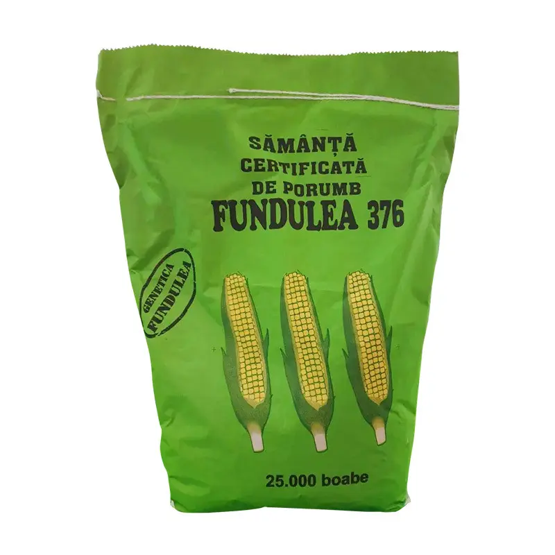 Samanta porumb Fundulea 376