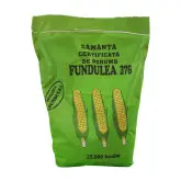 Samanta porumb Fundulea 376