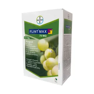 Fungicid Flint Max 75 WG