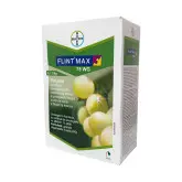 Fungicid Flint Max 75 WG