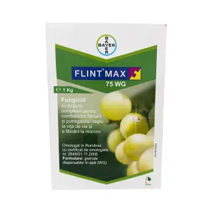 Fungicid Flint Max 75 WG