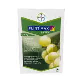 Fungicid Flint Max 75 WG