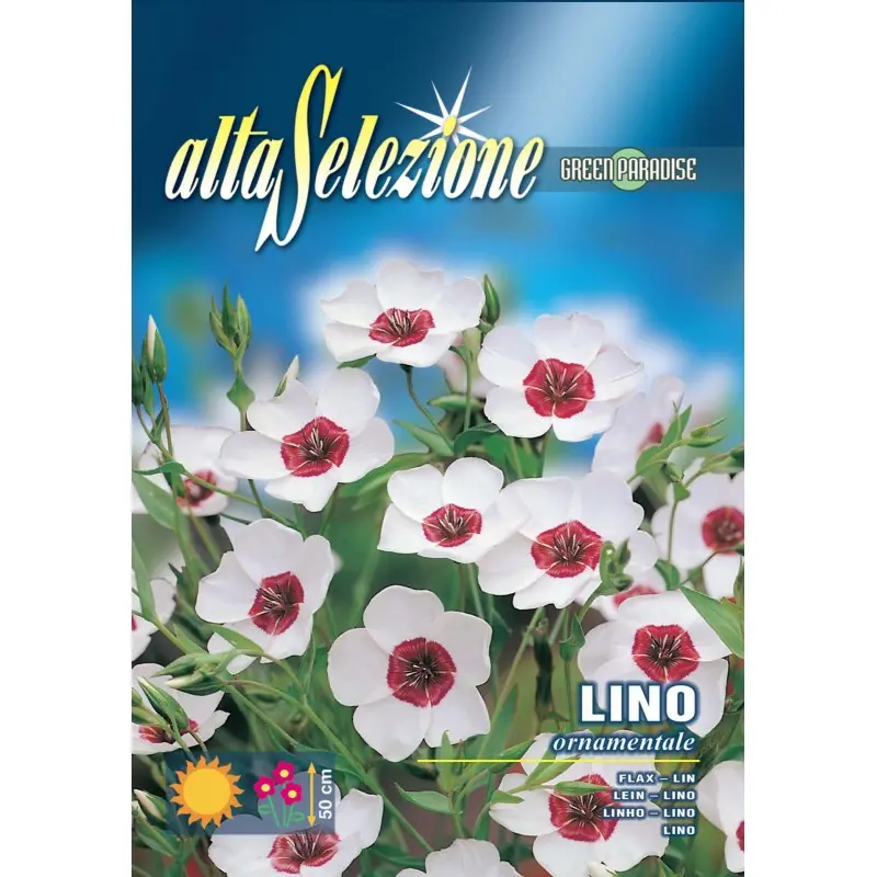 Seminte inul inflorit Ornamental