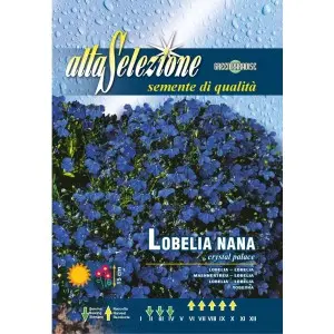 Seminte lobelia pitica Palatul de clestar