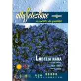 Seminte lobelia pitica Palatul de clestar