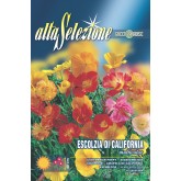 Seminte mac californian - Multicolor