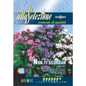 Seminte nu ma uita Multicolor